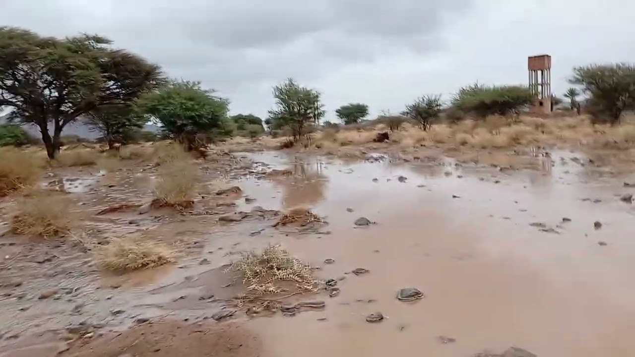 Wad tafroukht rissani rachidiya 