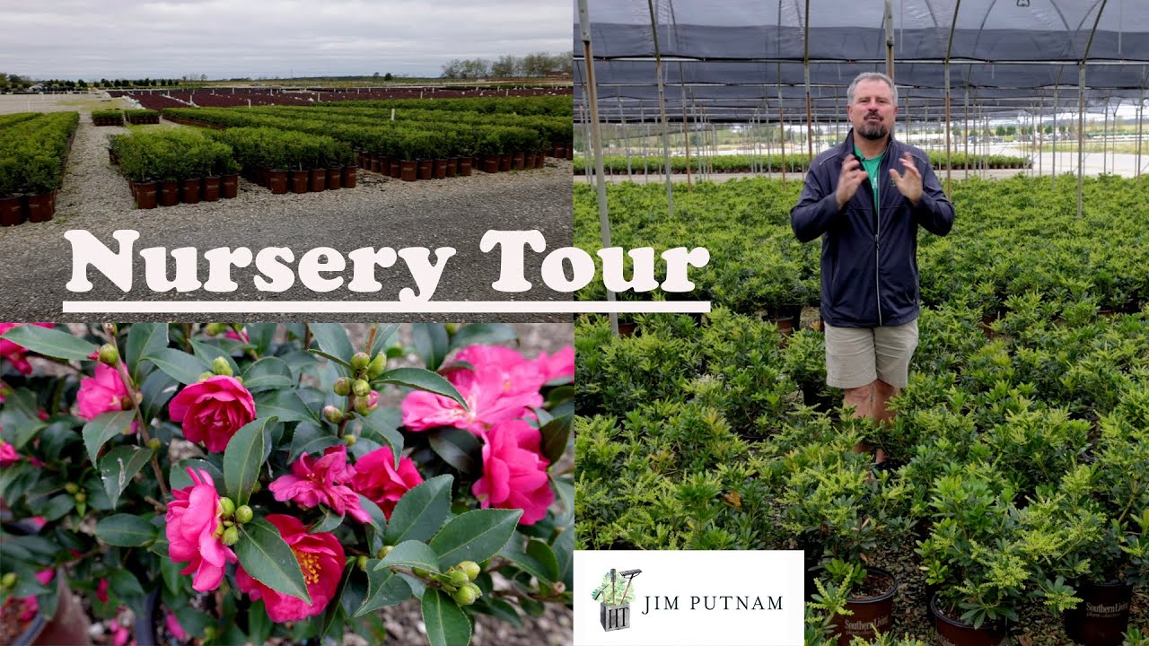 Nursery Plant Tour