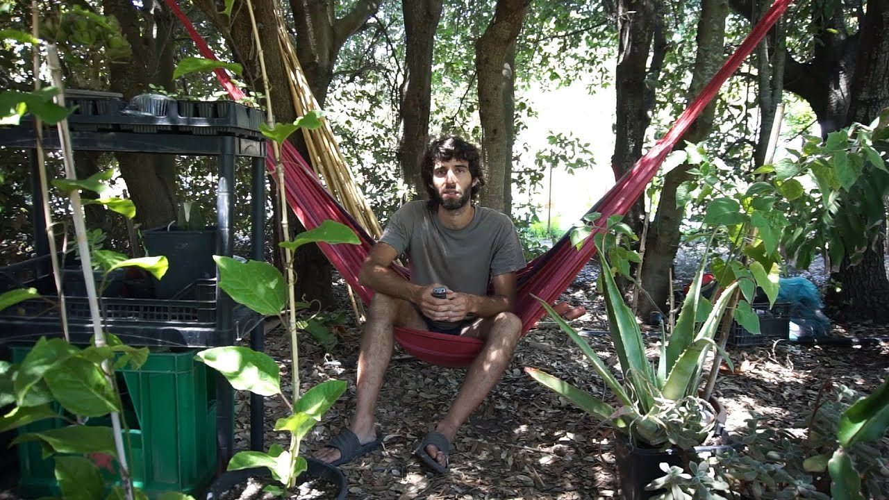 Pachamama, la comunità ecologica  fondata su autosufficienza e permacultura – Io Faccio Così 331