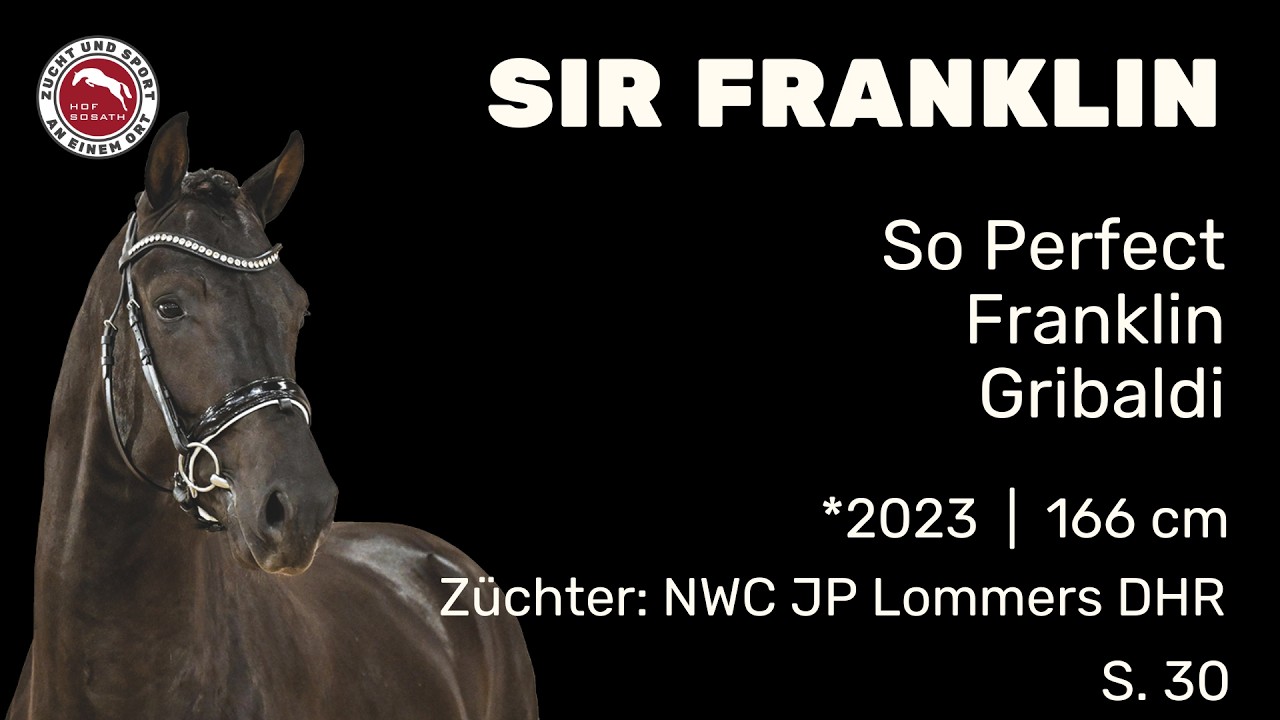 Sir Franklin - Hengstschau 2026