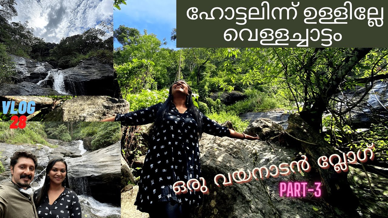 🏞️ഹോട്ടലിന് ഉള്ളിലെ  വെള്ളച്ചാട്ടം🔥/NATURAL WATERFALLS INSIDE A RESORT/വയനാടൻ വ്ലോഗ് PART-3