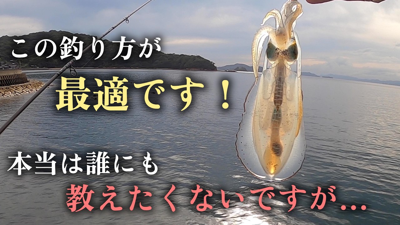 この攻め方はプロも中々教えてくれない釣り方です！