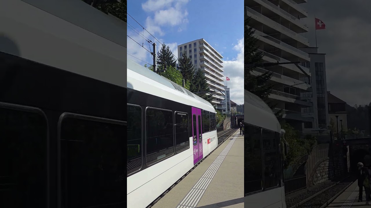 SBAHN SBB THURBO➡️Jestetten на станции Rheinfall в Швейцарии🇨🇭