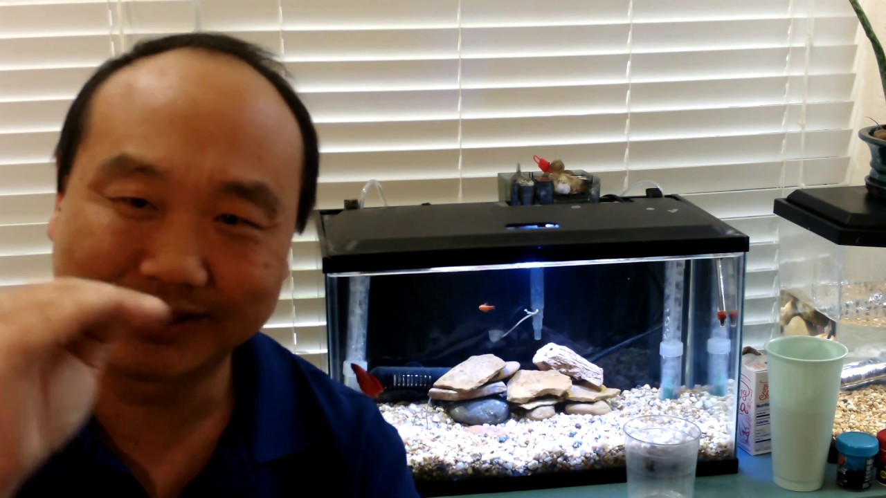 How to raise pH in your fish tank