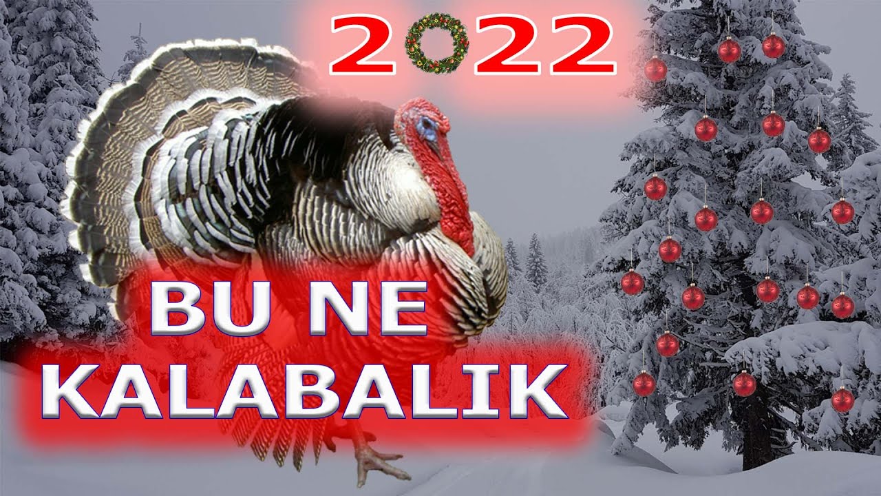 Ankara Tavuk Pazarı 2021 in son PAZARI