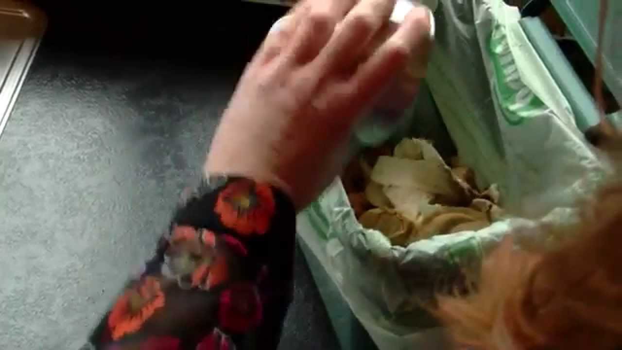 Beginners guide to food waste recycling