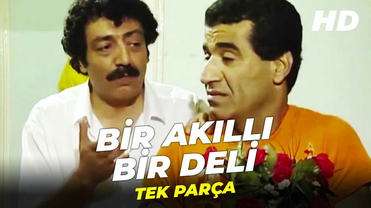 Bir Akıllı Bir Deli | Türk Komedi Filmi | Full Film İzle