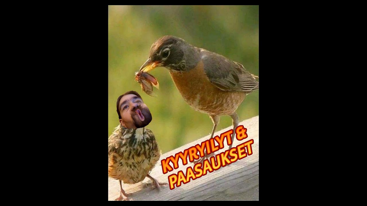 Niilo22 - Kyyryilyt & Paasaukset (8.5.22 - 10.5.22)