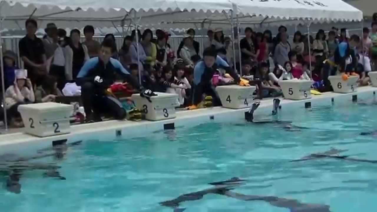 海上保安大学64回海神祭　2015　潜水実演2