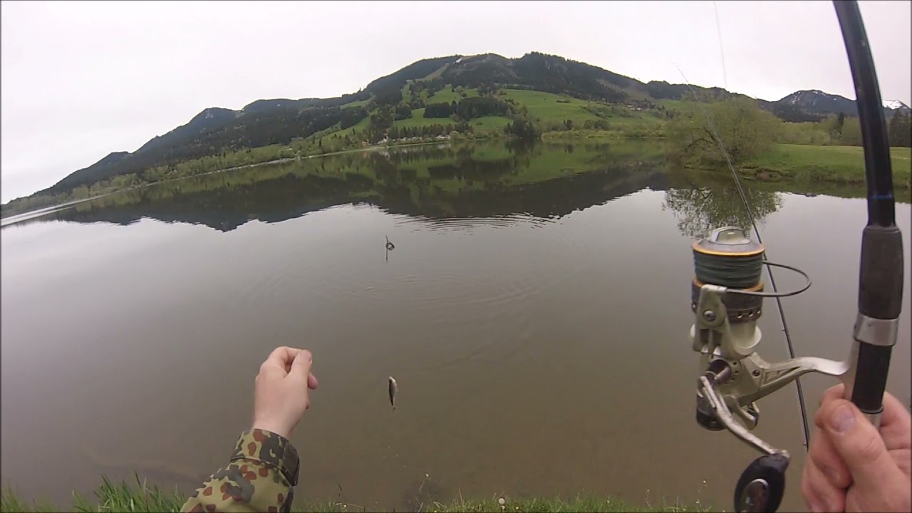 Рыбалка на Grüntensee 24.05.21 поймали плотву, побуксовали на машине.
