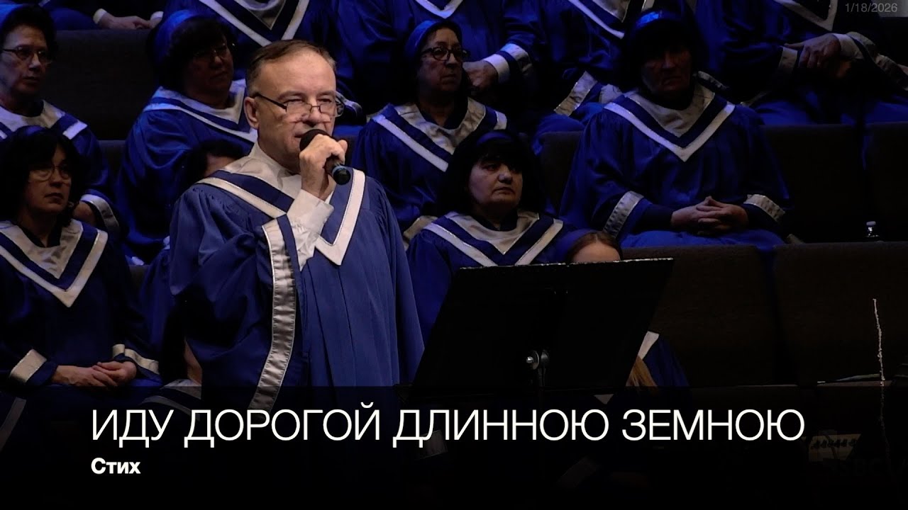 Иду дорогой длинною земною | Стих