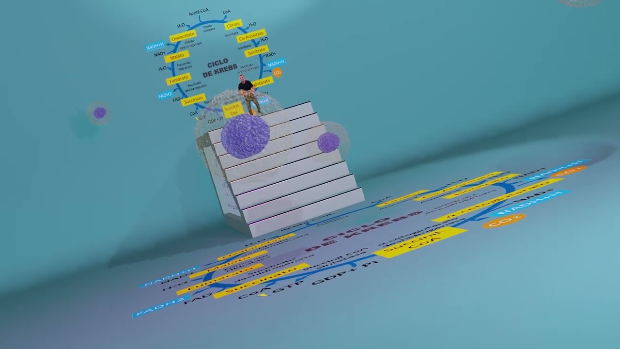 PARÓDIA: CICLO DE KREBS