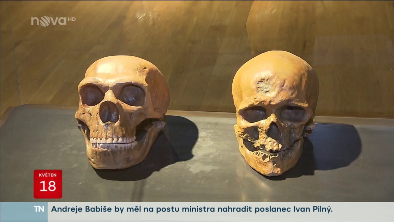 Archeopark Pavlov – tip na víkend
