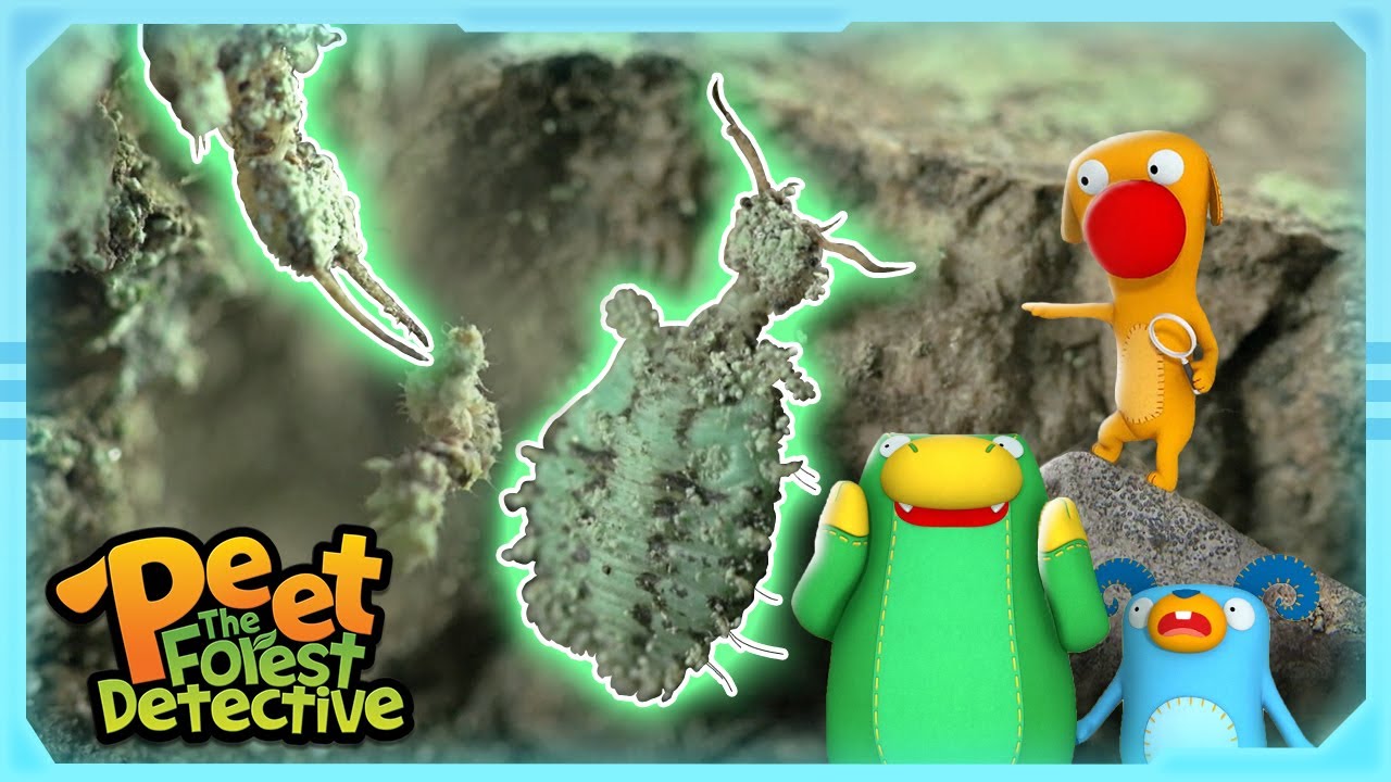 Creepy Crawly Mystery Revealed! | Full Episode | Cartoons for Kids | Peet The Forest Detective