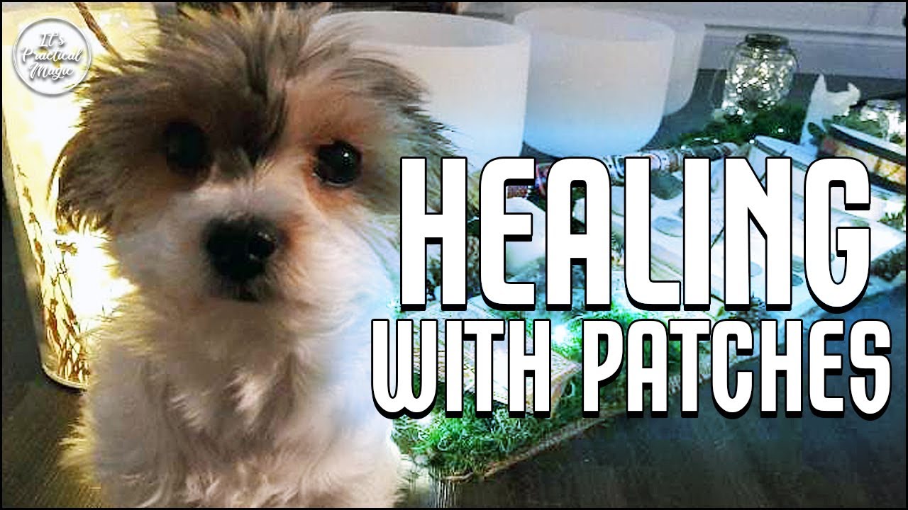 Healing Puppy ASMR