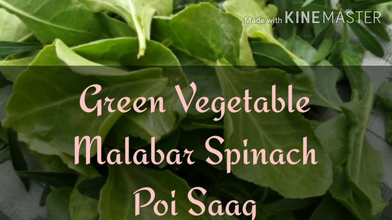 Green leafy vegetable Malabar Spinach/Poi Saag. Health benefits.