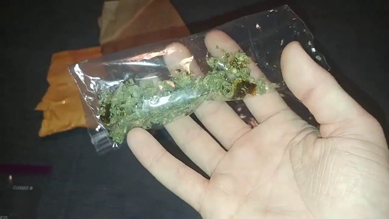 WTF IS THIS Oregon Hemp Collective Review #2