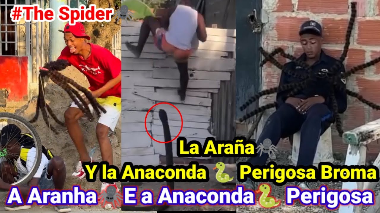 Broma de la Araña🕷️ /A aranha 🕷️ perigosa pegadinha /spider prank
