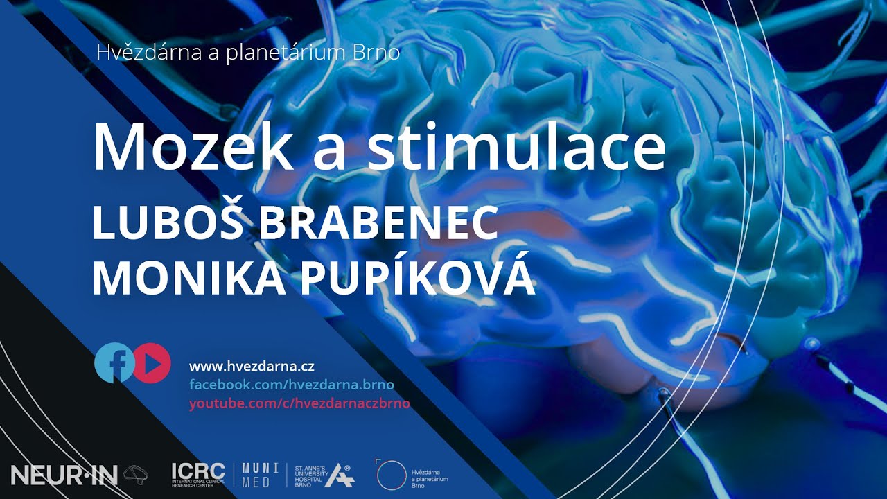 Luboš Brabenec, Monika Pupíková, Mozek a stimulace: Nové způsoby, jak měnit mozek