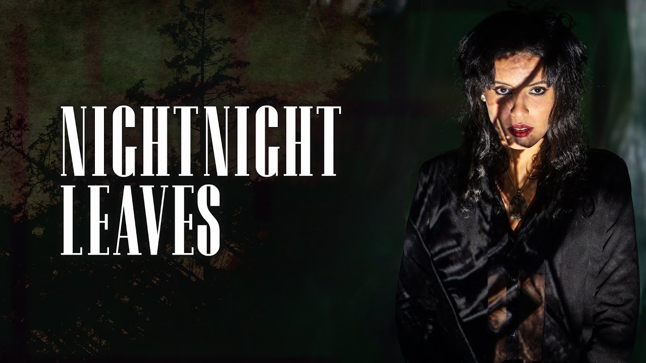 NightNight - Leaves (Official Video)