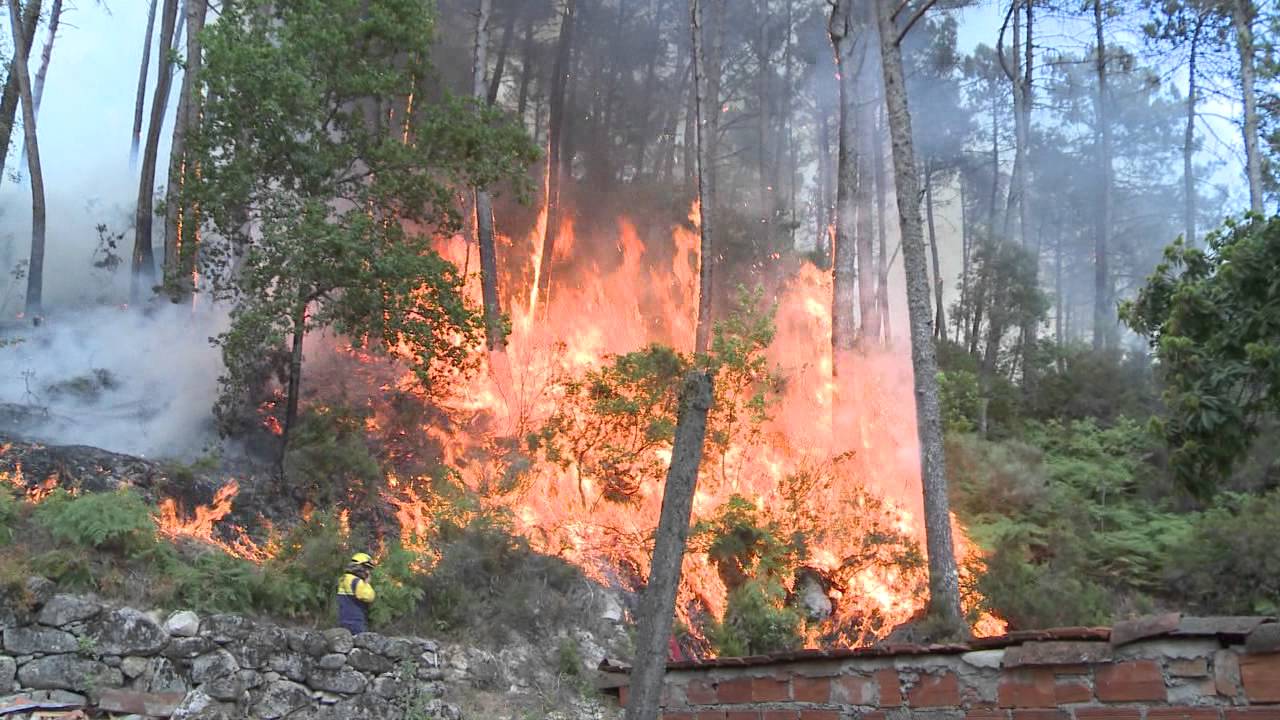 Fogo ameaçou casas na vila do Caramulo
