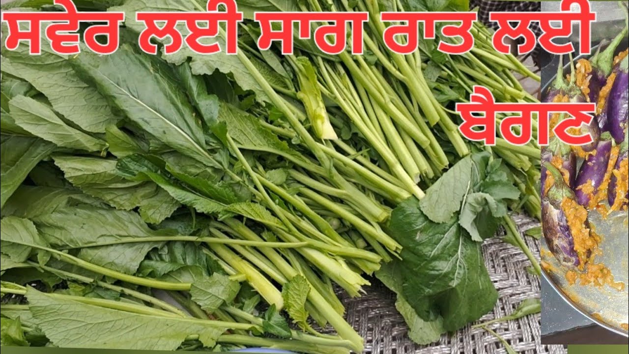 ਅੱਜ ਬਣਾਉਣੇ ਬੈਗਣ ਨਾਲ- ਨਾਲ  ਸਵੇਰ ਲਈ ਸਾਗ ਦੀ ਤਿਆਰੀ 😀