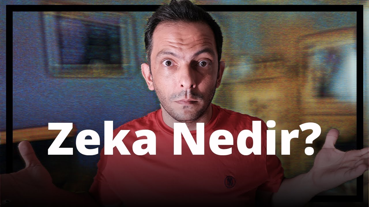 ZEKİ İNSAN KİMDİR?