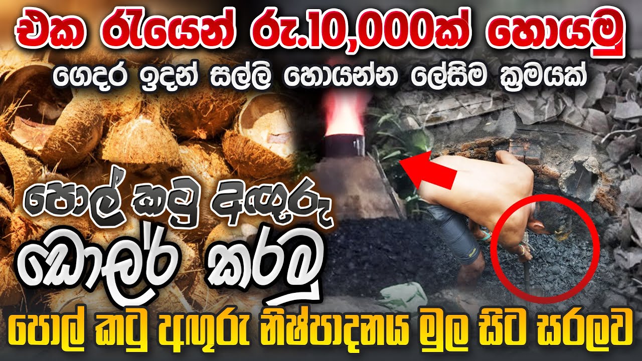 පොල් කටු අඟුරු (Pol Katu Aguru) ව්‍යාපාරය මුල සිට | Coconut Shell Charcoal Business | Sri Lanka 🇱🇰