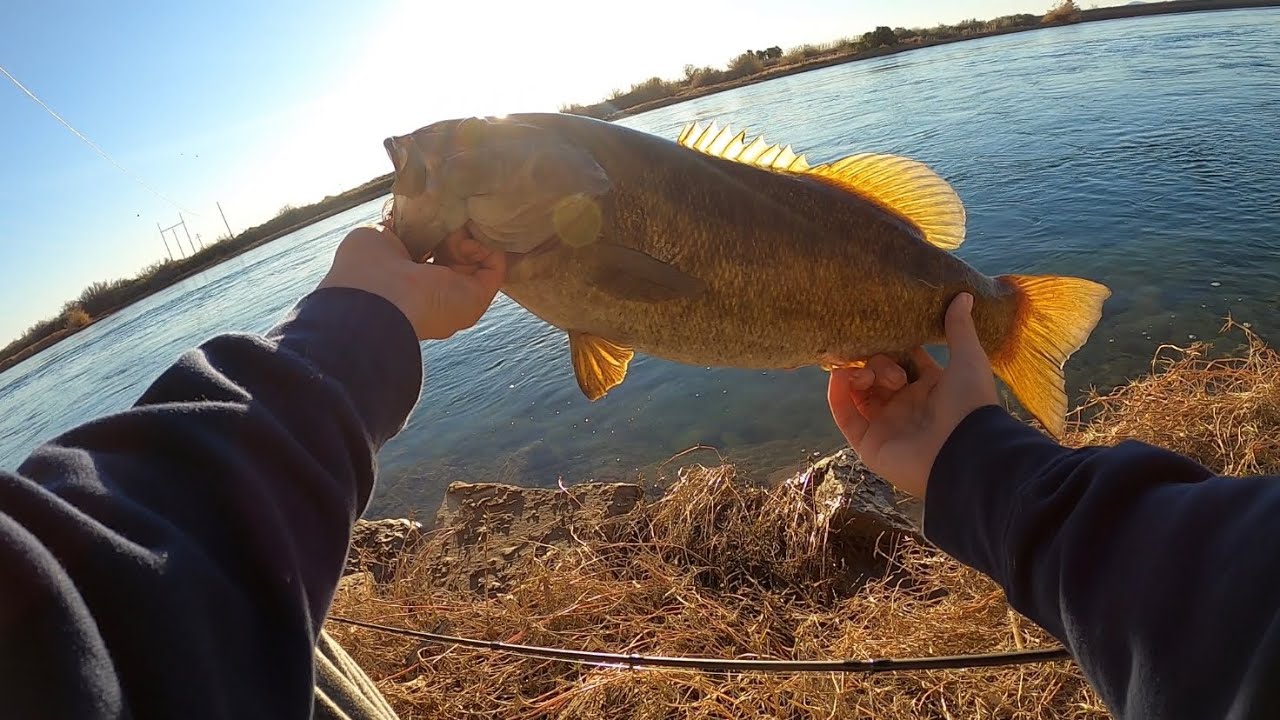 Bass fishing the Colorado river for big smallmouth.