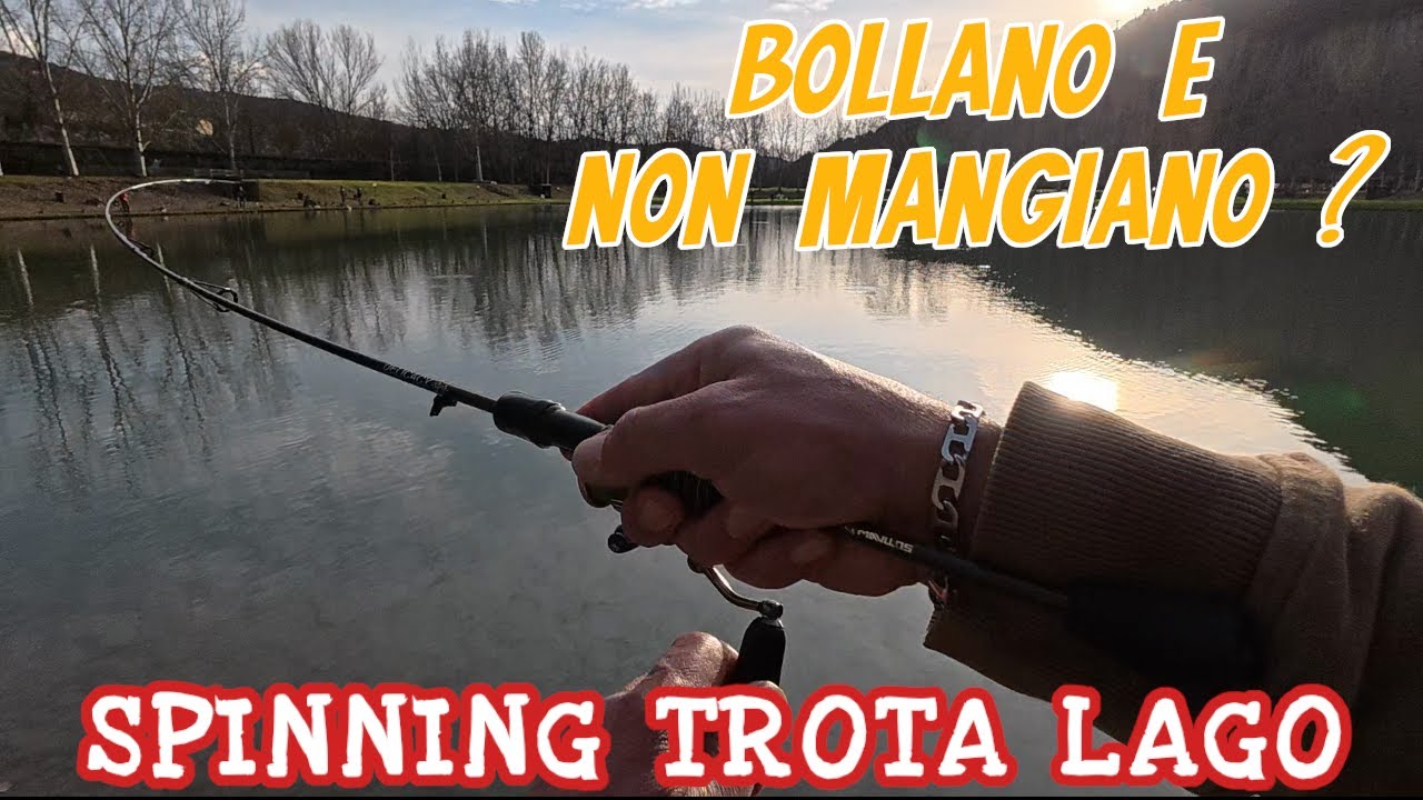 Trote a Galla: cosa fare se bollano e non mangiano?