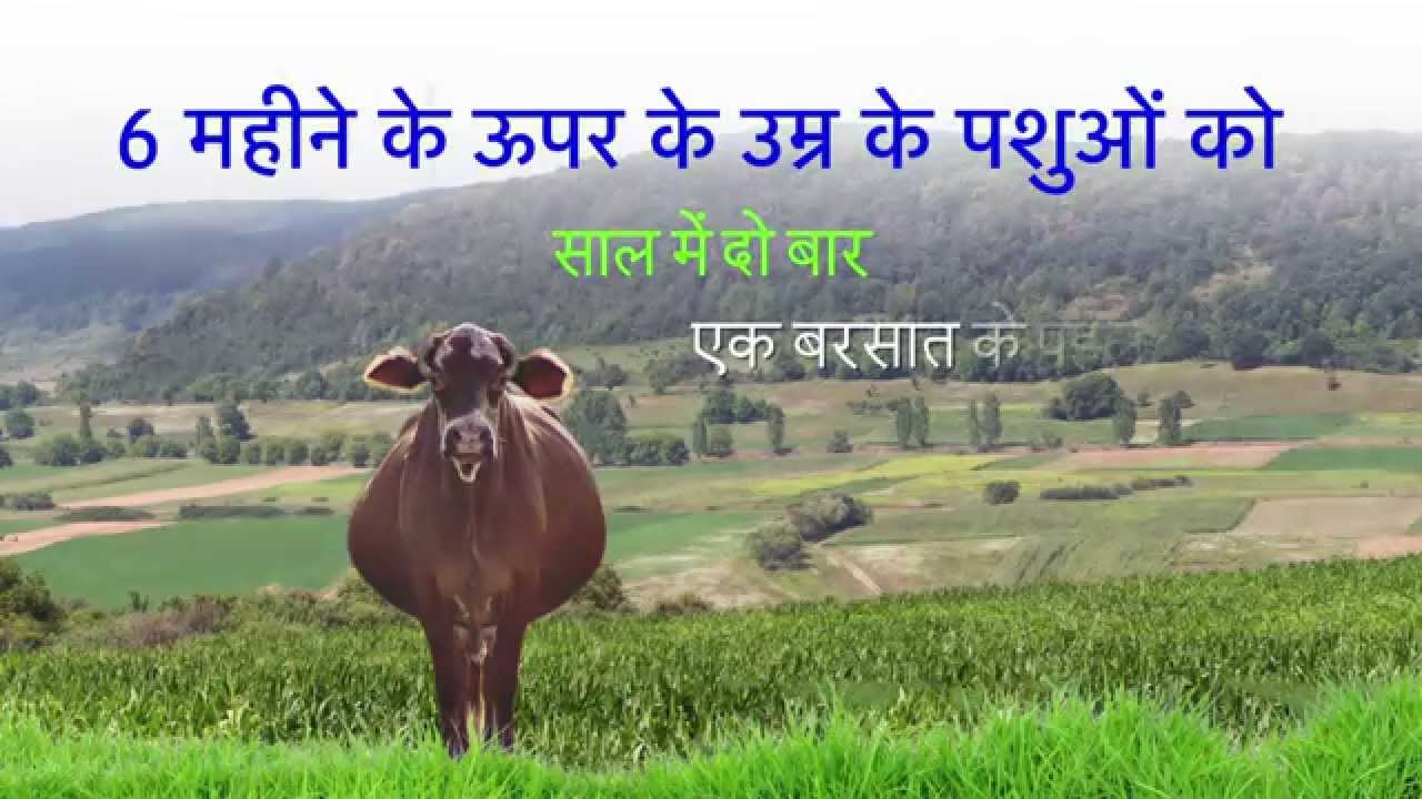 Halla Bol - A film on deworming (Hindi)