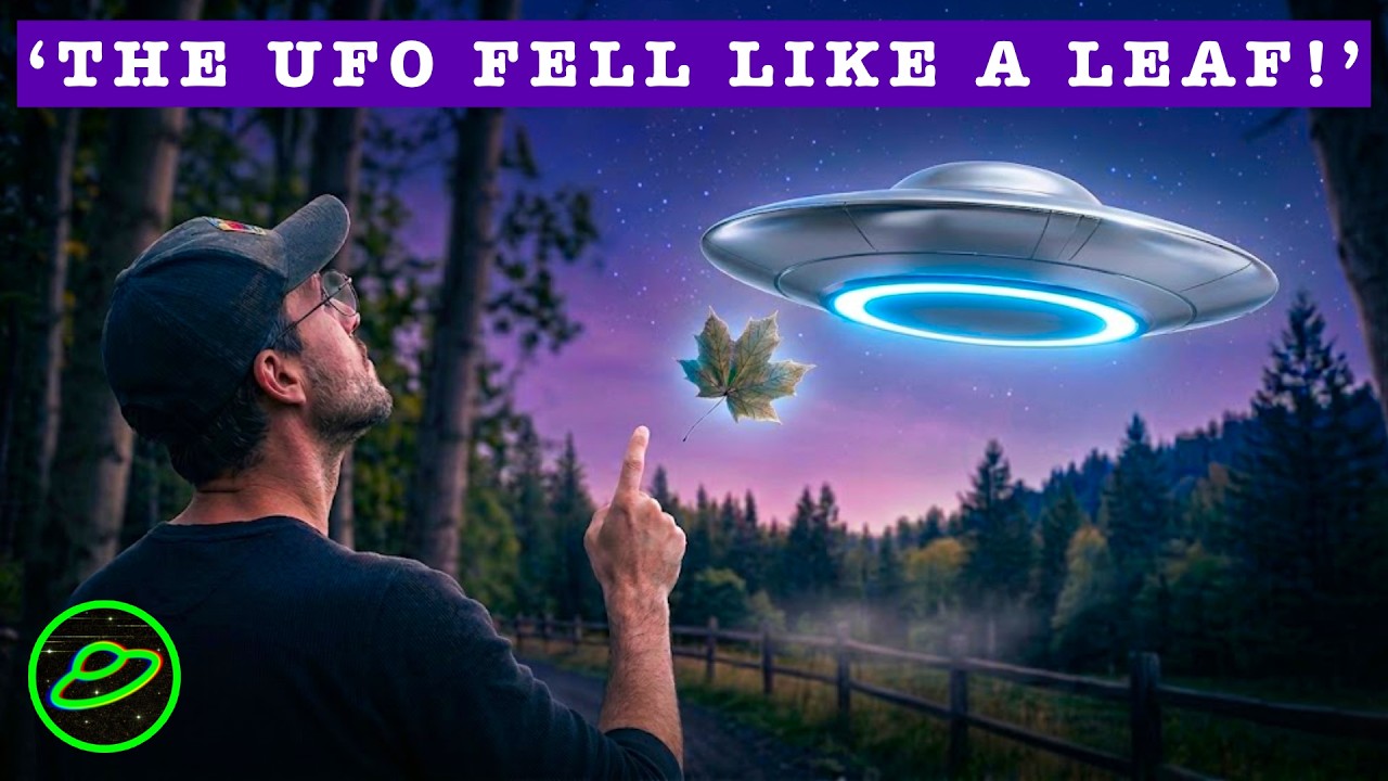 Falling Leaf UFO with Dan Zetterstrom | CONTACT