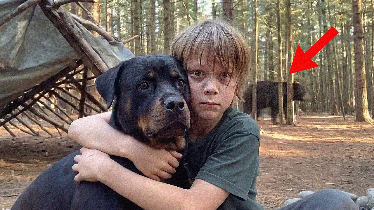 Huge Rottweiler Protect Baby as If It's Their Puppy... What Happened Next Will Melt Your Heart 💔🐶