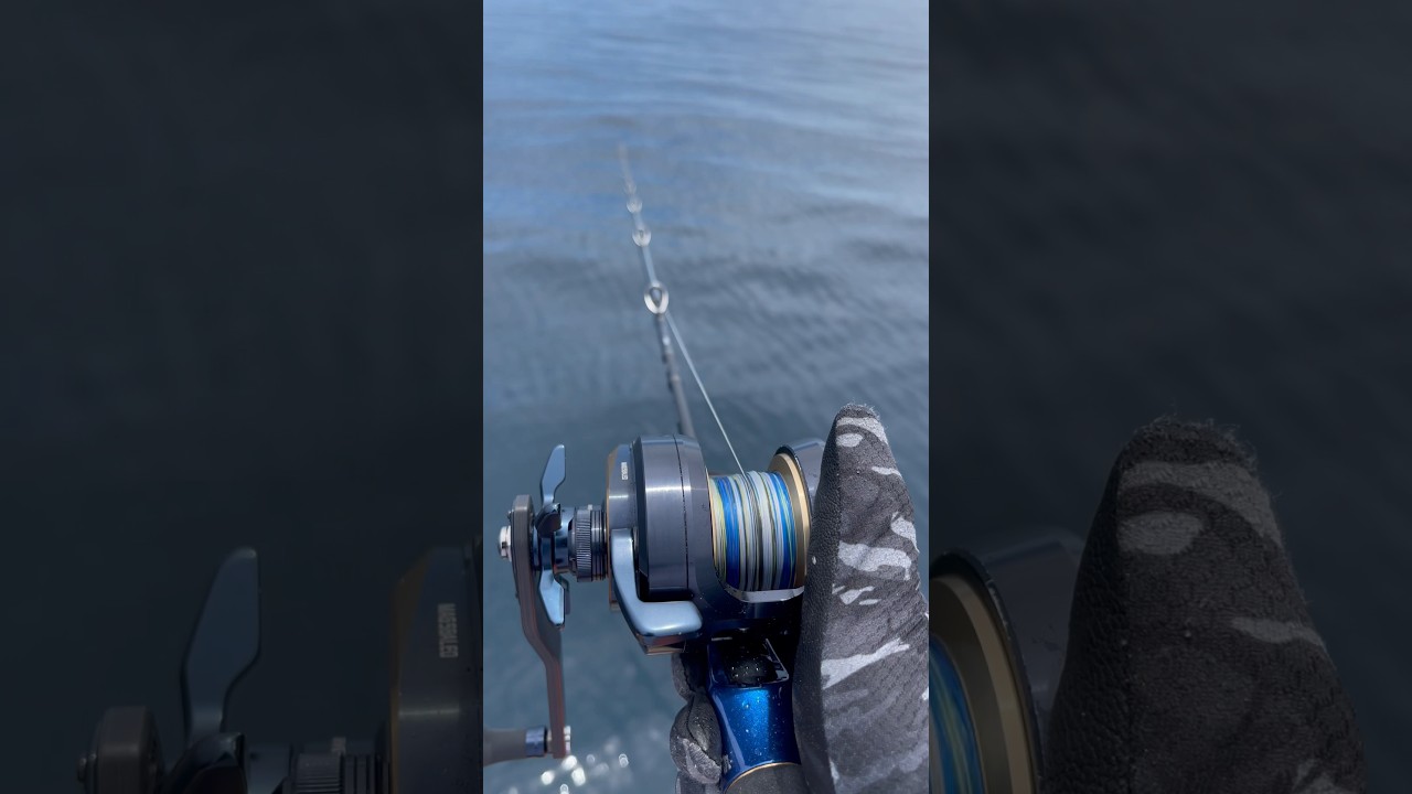 Rod Daiwa saltiga overhead x daiwa krueger #fishing #daiwasaltiga