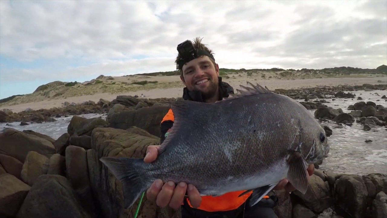Catching EPIC winter fish amongst the bricks!  (ft FrannaFishing)