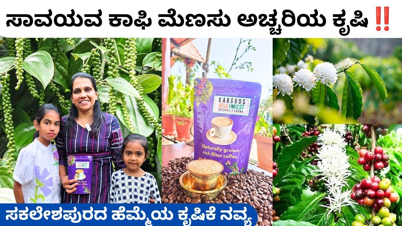 ತಾನು ಬೆಳೆದ ಸಾವಯವ ಕಾಫಿಯನ್ನು ತಾನೇ ಬ್ರಾಂಡ್ ಮಾಡಿ ಮಾರಾಟ ಮಾಡುವ ಯಶಸ್ವಿ ಉದ್ಯಮಿ ನವ್ಯ KS KARGODS coffee Hasan 