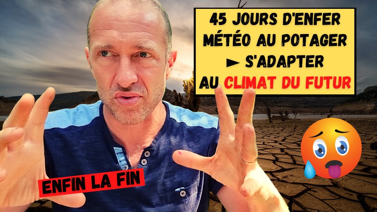 Tour de potager apr&egrave;s 45 jours de canicule et s&eacute;cheresse ► 4 solutions pour bien s'en sortir