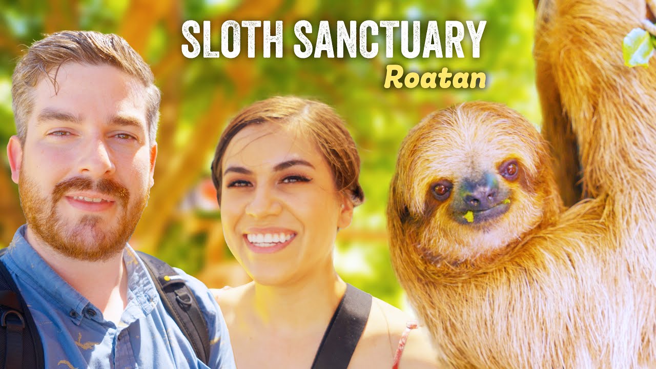 Sloths, Monkeys, & Iguanas Royal Caribbean Excursion in Roatan | Harmony of the Seas Port Day