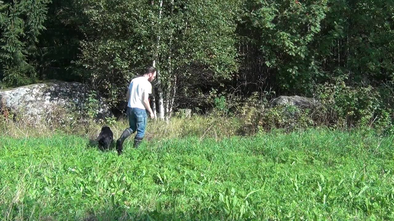 Lähihakutreeni taskudameilla