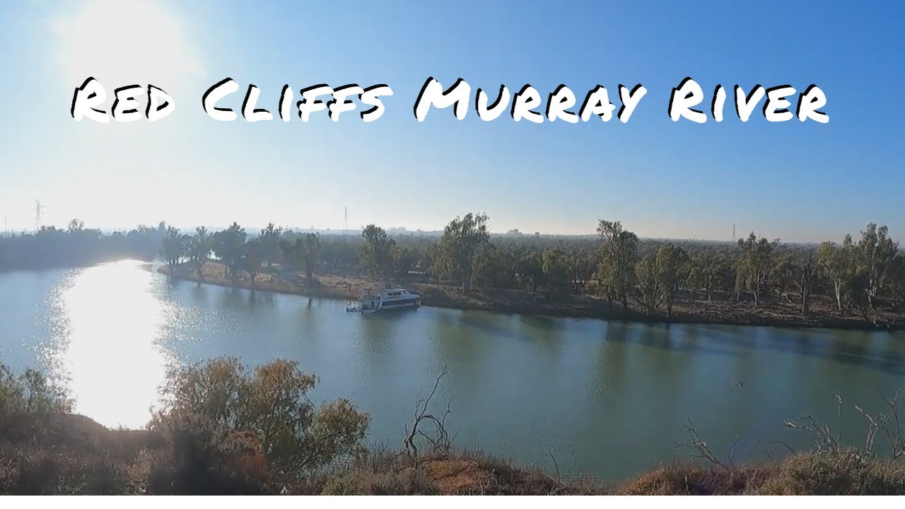 Trip to Red Cliffs Murray River + Camp Oven Festival Results + Sheep Shearing.