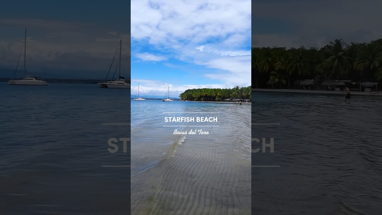 🤩 Starfish beach ✨ a.k.a Playa Estrella