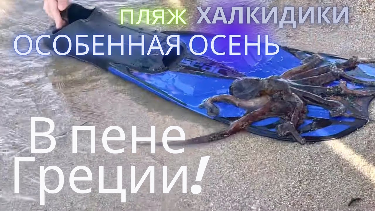 Халкидики. Влог на пляже Трани аммуда. Что обнаружил турист болгарин у себя в ласте.