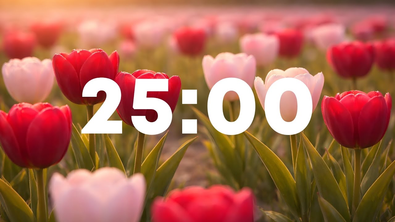 25 Minute Pomodoro Study Timer with Calm Guitar Music | Deep Focus Study