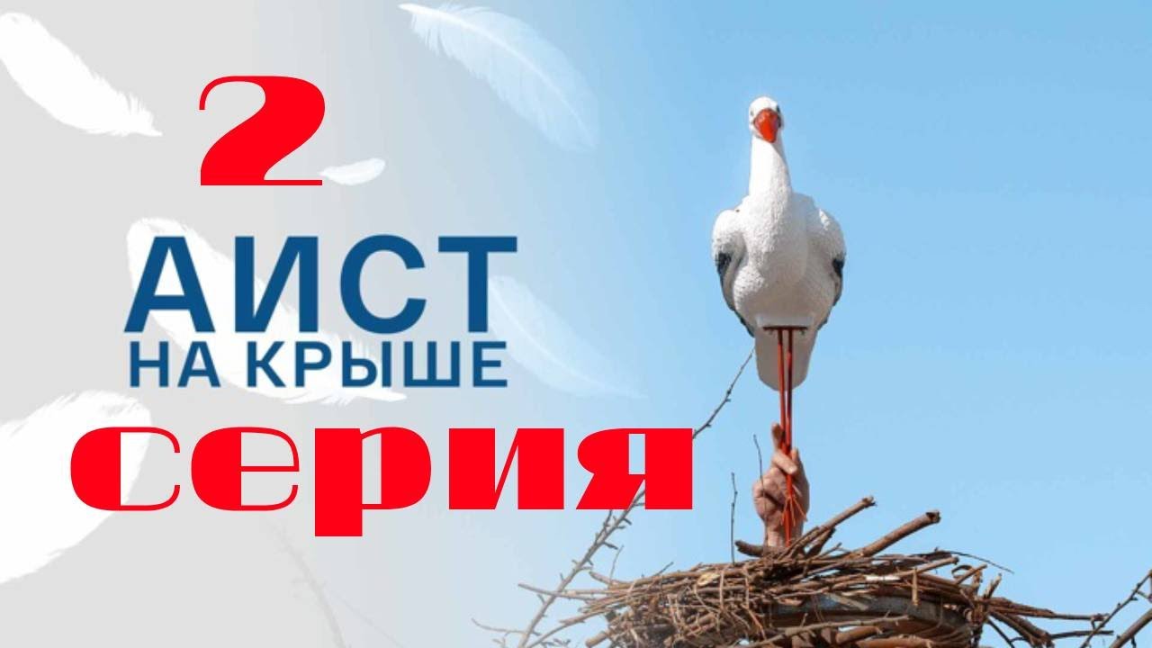 Аист на крыше. Серия 2. (2021) Мелодрама