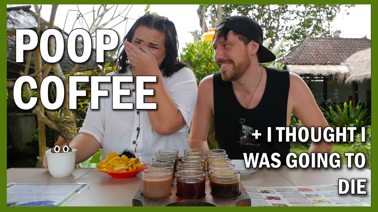 Kopi Luwak Coffee Tasting And The New Glass Bridge In Ubud Bali