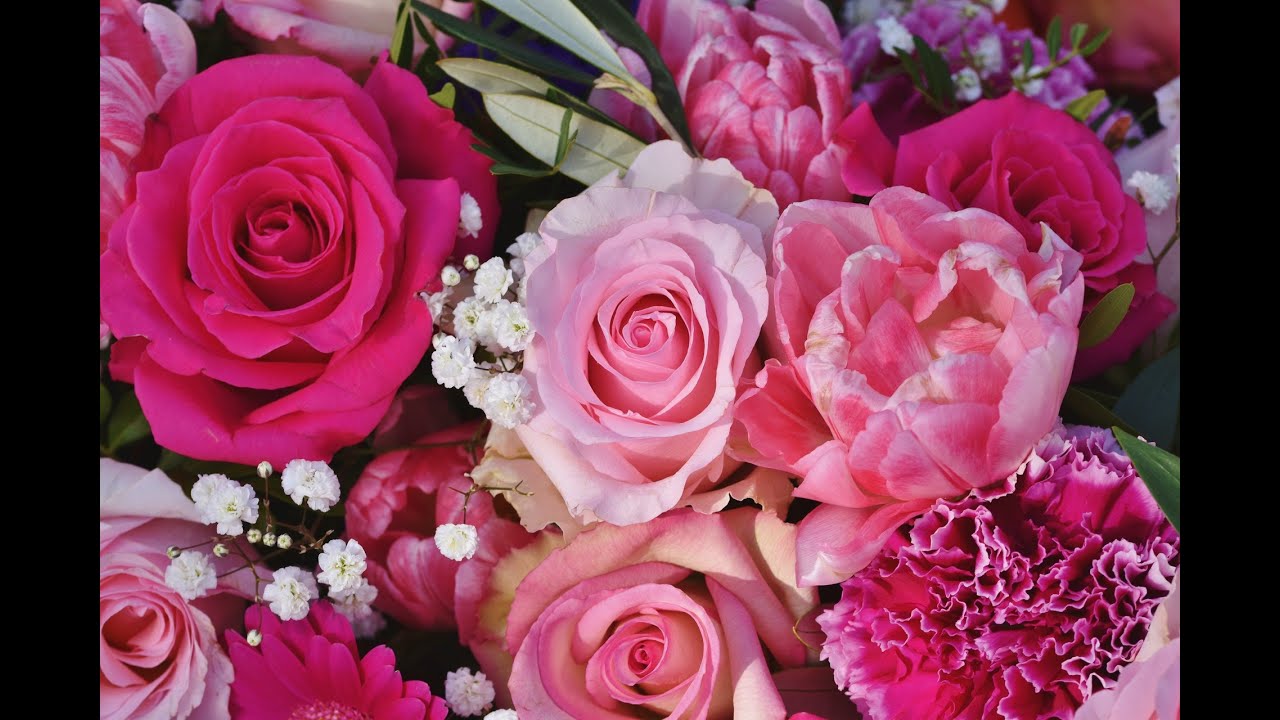 30 Minute Calming Music - Meditation