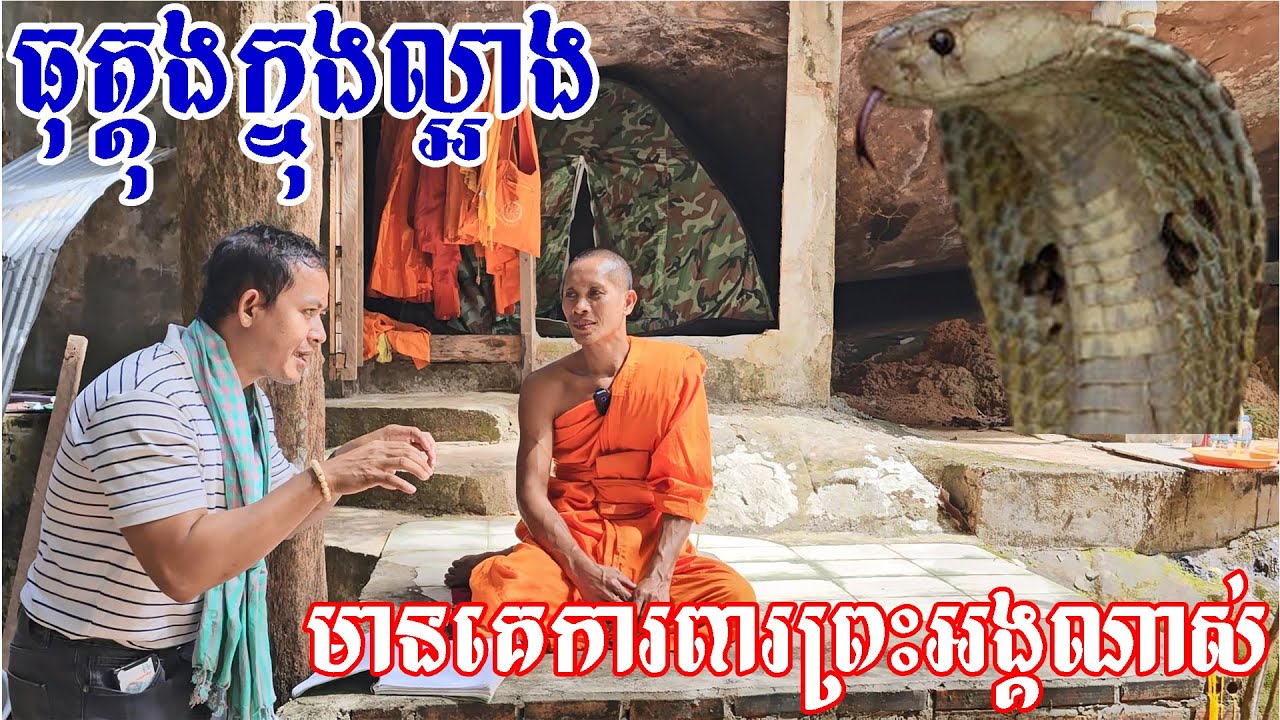 ចូលមកឃើញសេនាព្រះអង្គទើបសកថ្មីៗ ខ្ញុំស្ទើគាំងបេះដូង I'm so shock to see the snake that protect him