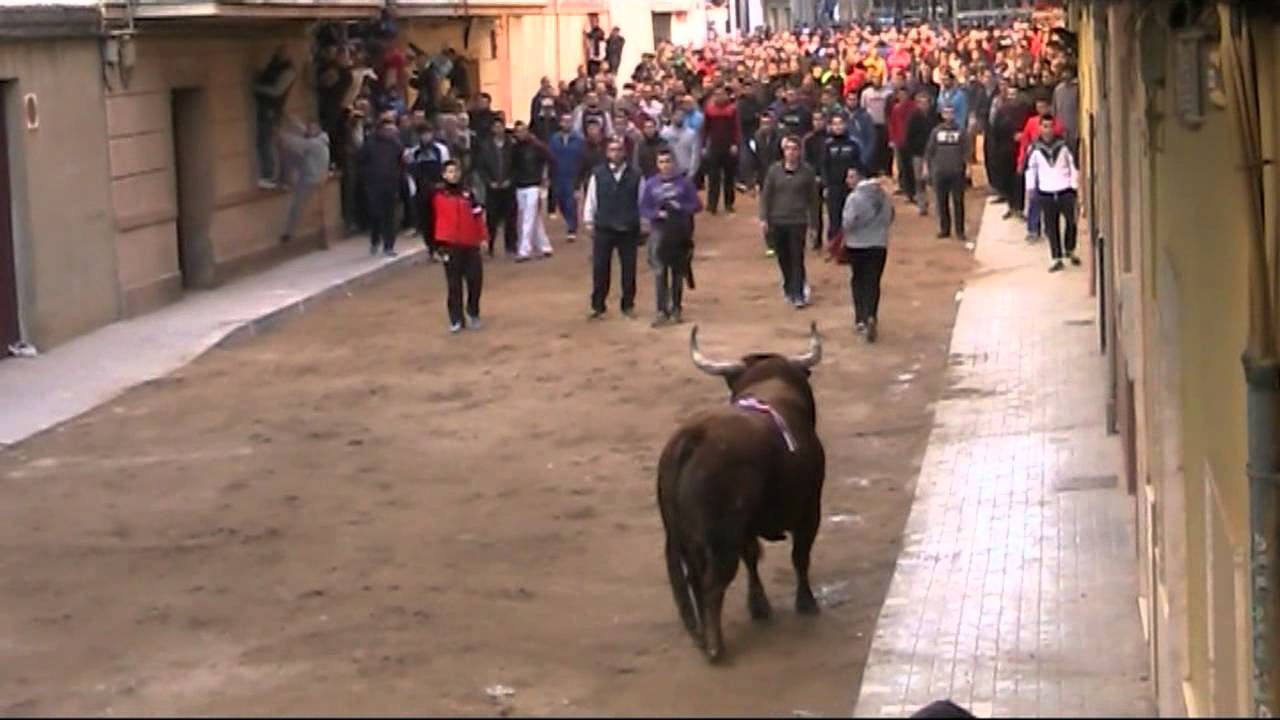 Sagunto Sant Antoni 2015 Toros Cerriles [17.1.2015] (Tarde)