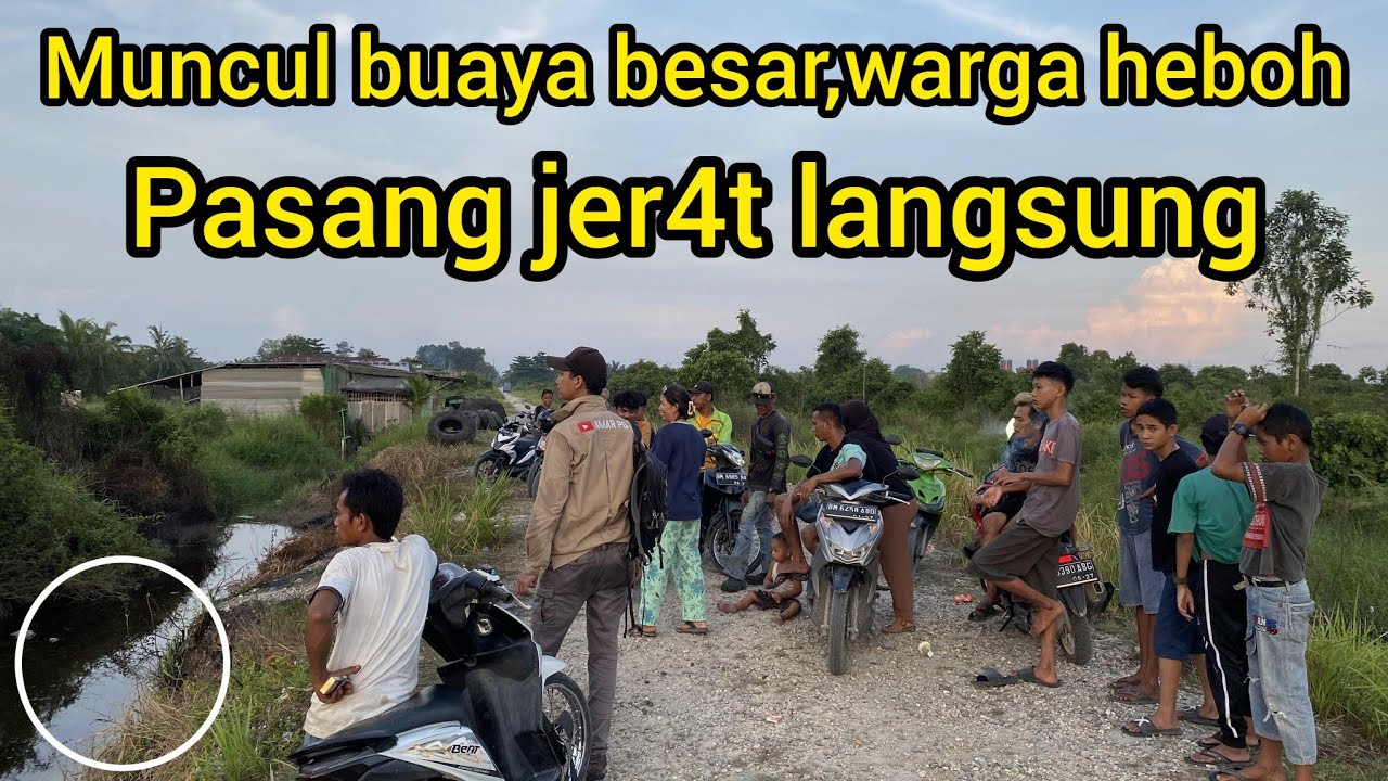 PAHA DI POT0NG MANDI DI SUNGAI MUNCUL BUAYA BESAR WARGA LANGSUNG RAMAI,KITA PASANG JER4T NYA