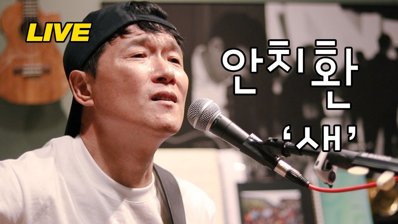 [안치환 LIVE] 안치환 - '새' 방구석 라이브